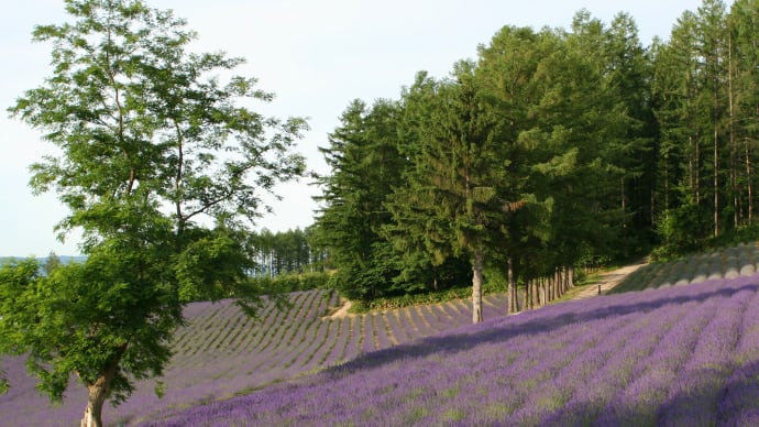 春を待つ三月に、夏の写真を3-3