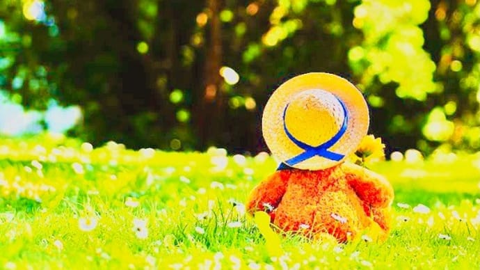 真心さん 祝 ♡ お孫ちゃん