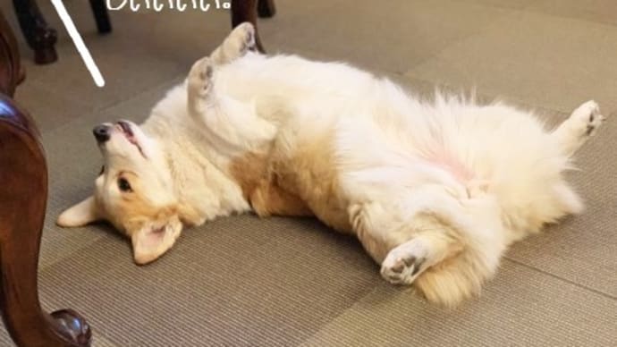 今日も狙ってる!