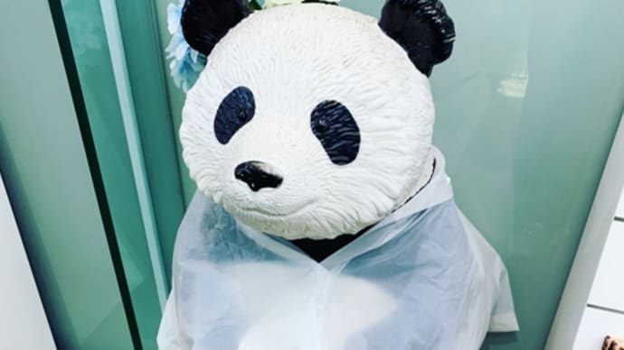 今日は あめ。