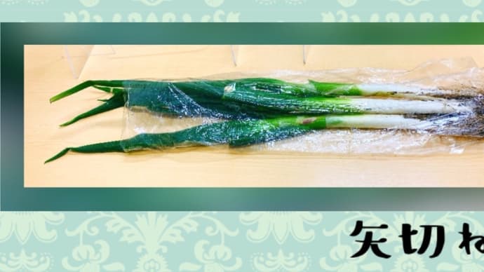 矢切ねぎ 〜感謝〜
