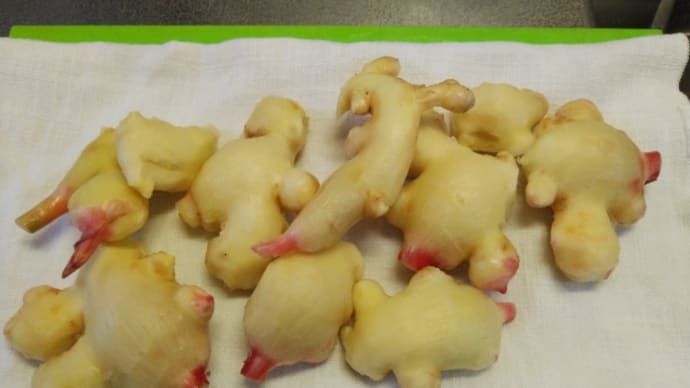新生姜の甘酢漬けとべったら漬け