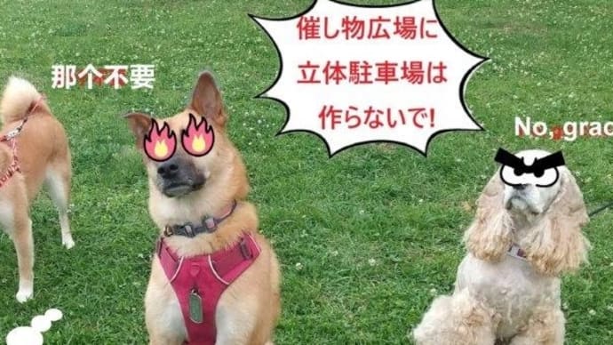 お知らせします!