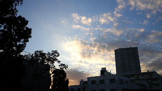 高輪の家R の空