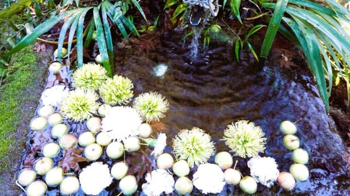 Flower water fountain☆名水姫の井戸・武田神社