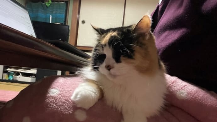 茨城から生落花生が届く