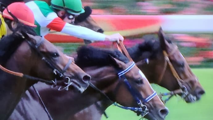 大忙しのスポーツサンデー~三冠馬は簡単では有馬へん😰