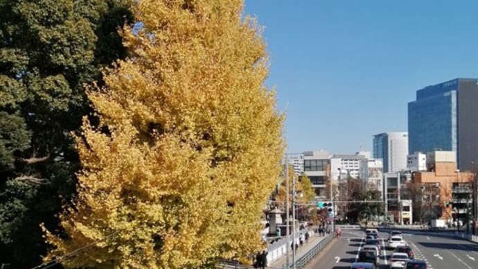 いつもと違う道で脳に刺激♪とローソンさんのまんぞくロカボ