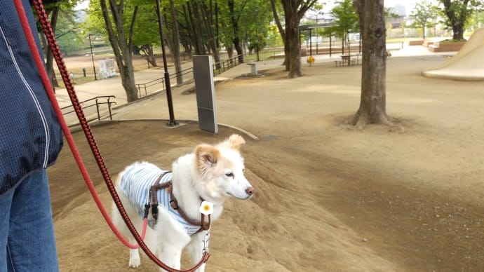 前日の教訓?もあり。