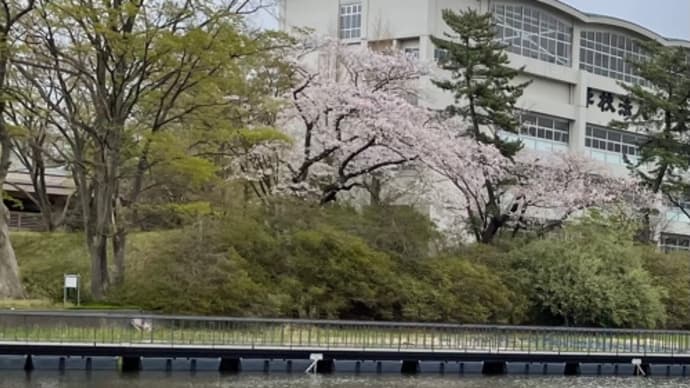 小雨の降る中での散策と昭和を懐かしんできました。