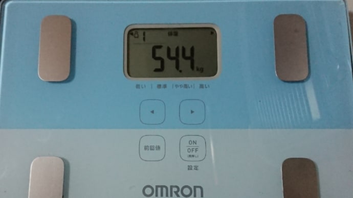 ダイエット256日目