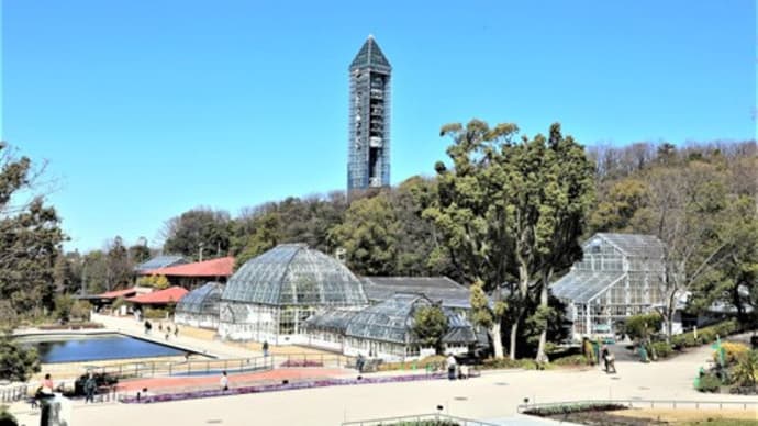 東山植物園　のんびりぶらり🚶💨🚶
