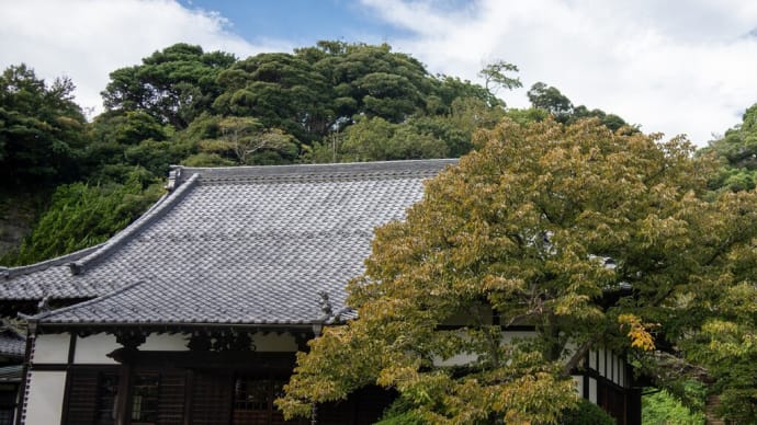 初秋彩光【浄光明寺】所蔵の土紋装飾仏像で有名な古刹、浄光明寺も萩の名所
