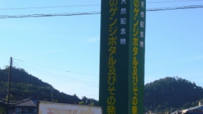 長岡のゲンジボタル発祥地