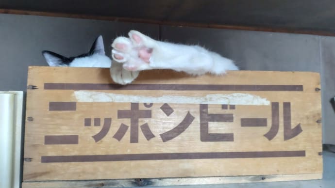 呼吸はだいじ