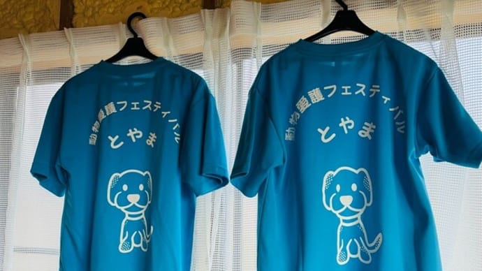 どうぶつ愛護フェスティバル・雨天決行☔