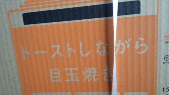 ♪私バカよね。親バカさんよねぇ〜🎶