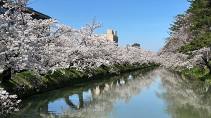 弘前公園へ