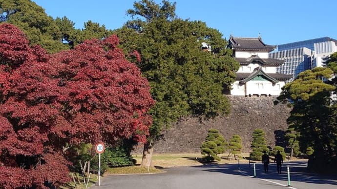 江戸城(2023年12月3日)
