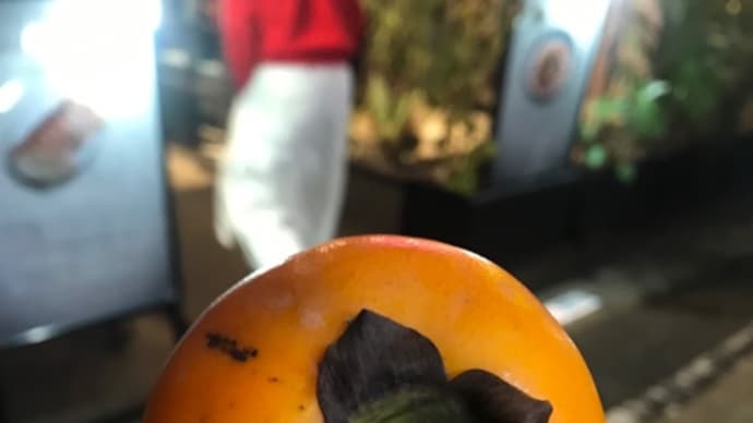 柿食えば〈英訳付〉