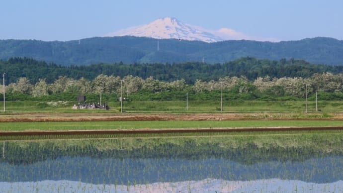 清々しい朝の風景