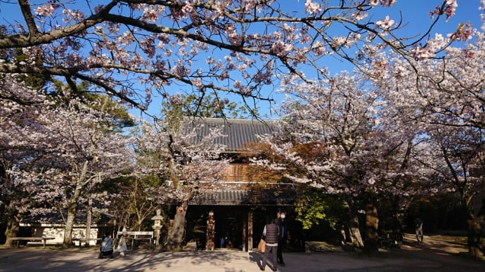 森林公園門司港功山寺4/3(日)