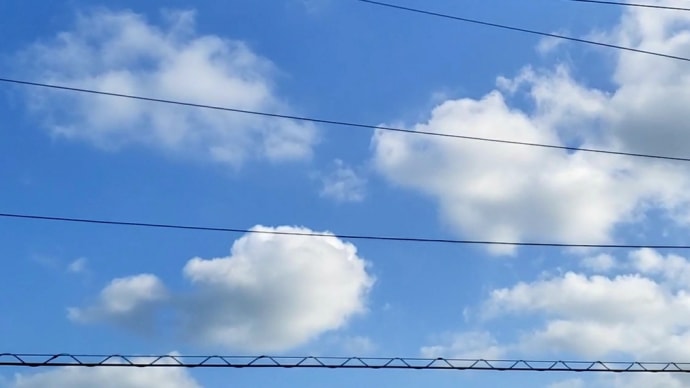 久しぶりの青空に、、、