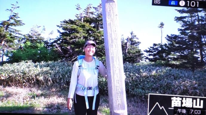 志賀高原の苗場山