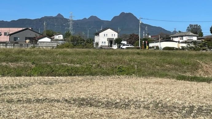 初登場の