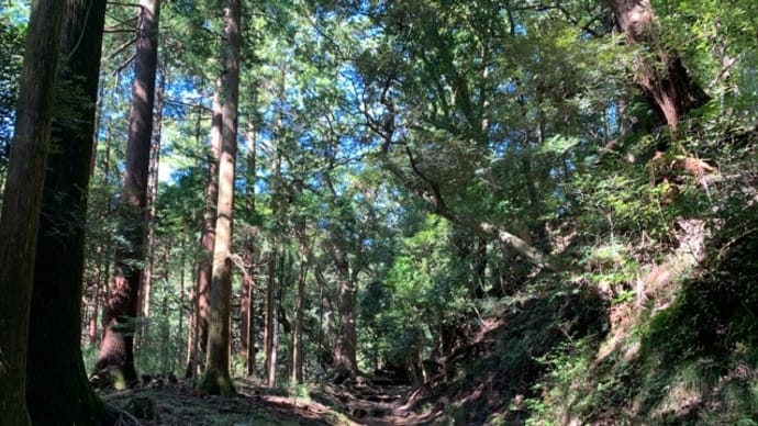 場所神奈伊勢原市日向薬師 行基 羅保派