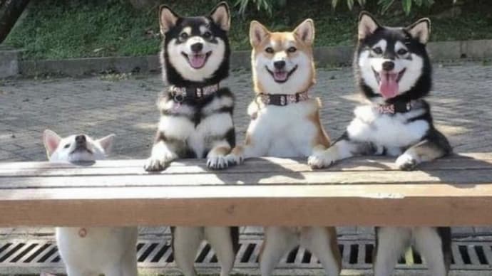 一枚の写真『ワクチン接種 待ってます!』