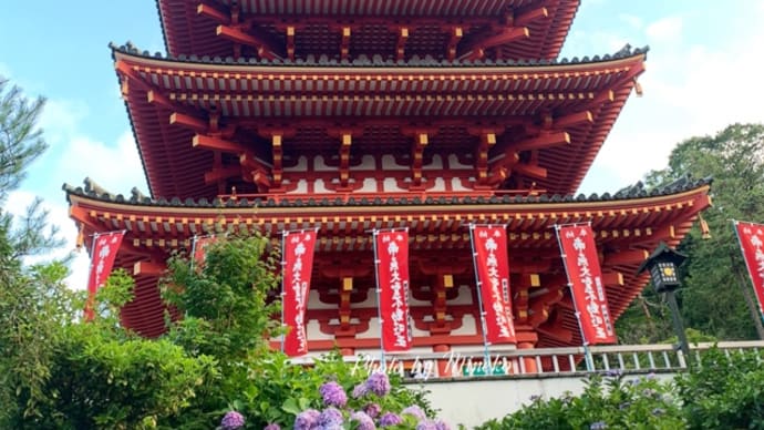 【高幡不動尊】紫陽花を求めて日野市へ