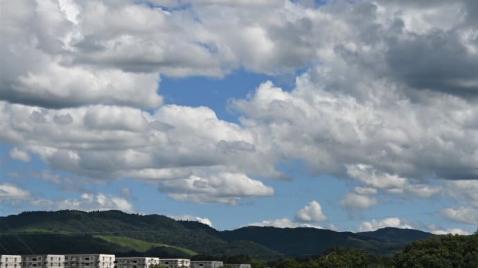 西大寺では興正菩薩忌