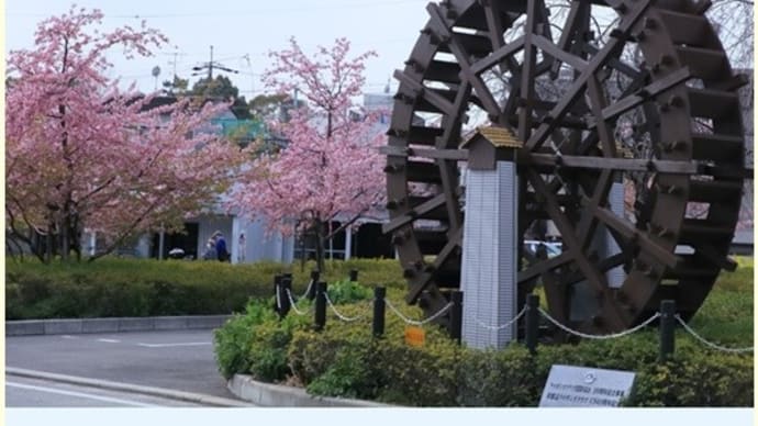 京阪淀駅　河津桜と碑
