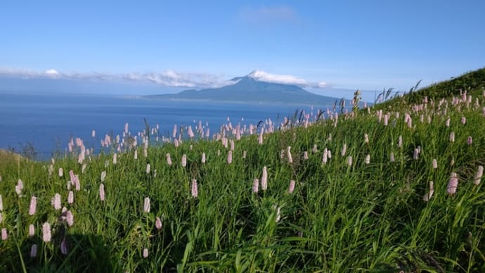 利尻島、礼文島の花々