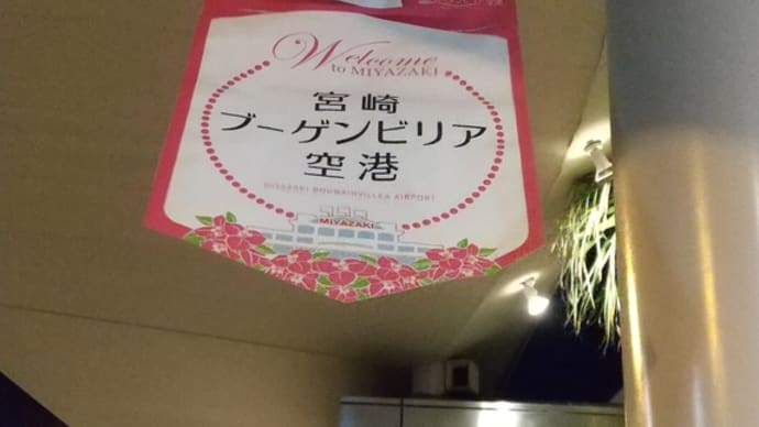 宮崎グルメツアー🐶