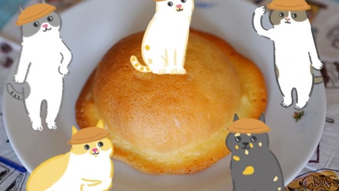 怒涛の1週間