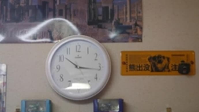 コスモス散る・・トホホ。。まぁ良いこともありんす