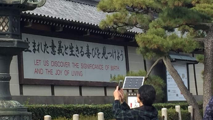 場所京都東本願寺 渉成園 西本願寺に負けていない。