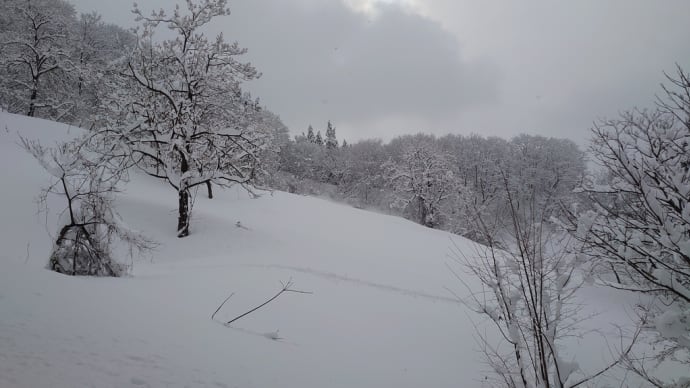 初登山