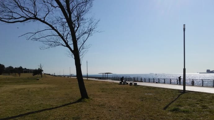ヒトデの猛攻西公園!