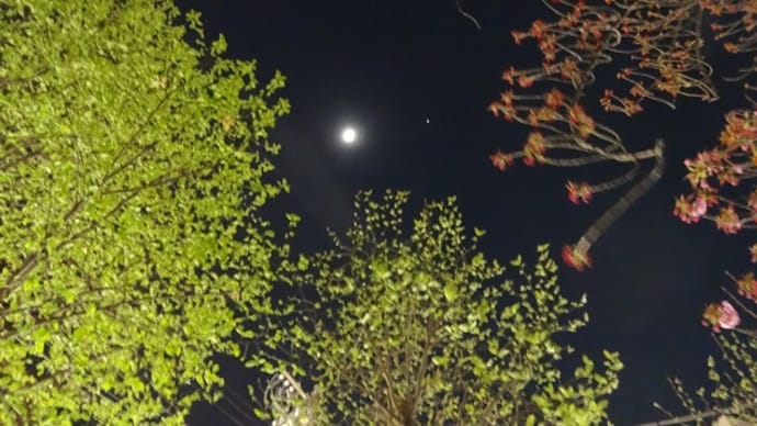 4月7日 月と星