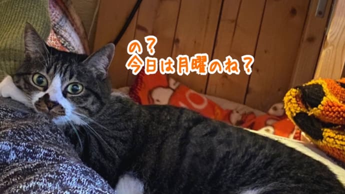 月曜とか関係ないのね