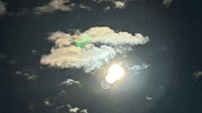 今日も月夜