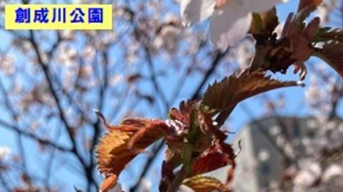 ぽかぽか陽気に