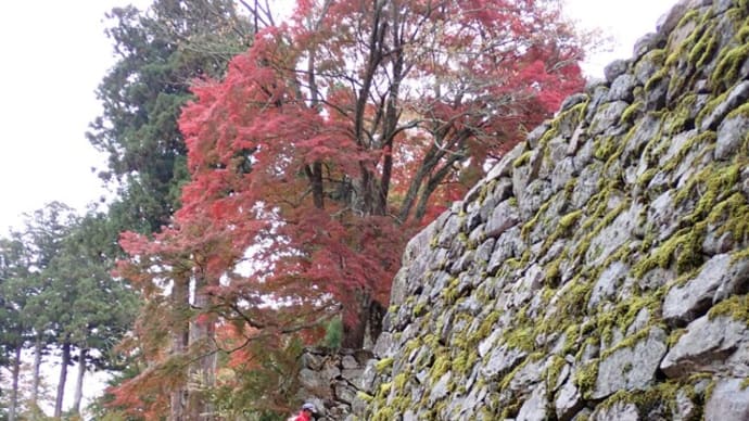 奈良県へモミジ狩り