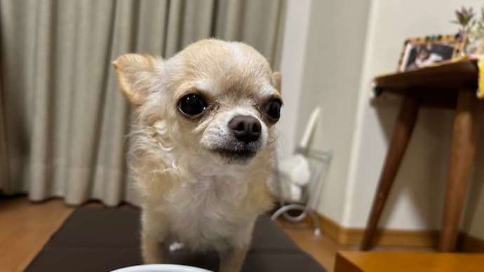 すごいZO❕