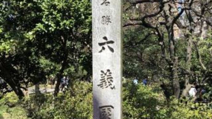 六義園と上野公園の桜