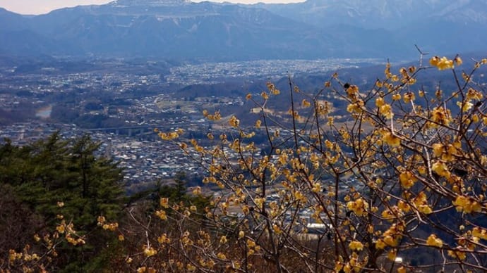 梅の香りが漂う長瀞宝登山を訪ね後編