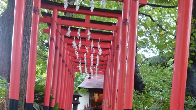 雨の合間をぬって若宮さんへパー子と